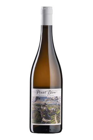 KTCN - Pinot Blow BIO